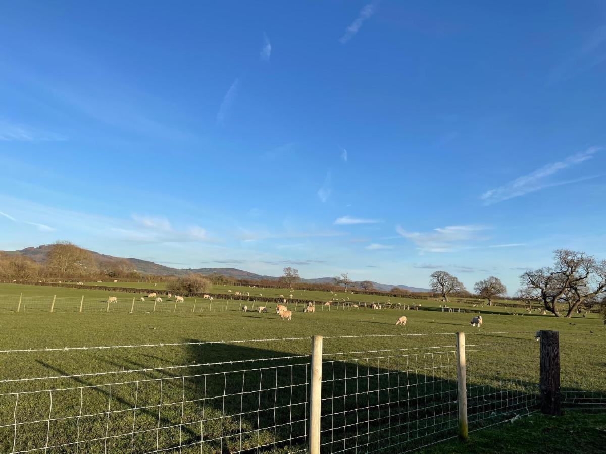 Abbey Farm Luxury Glamping Rhuddlan Exterior foto