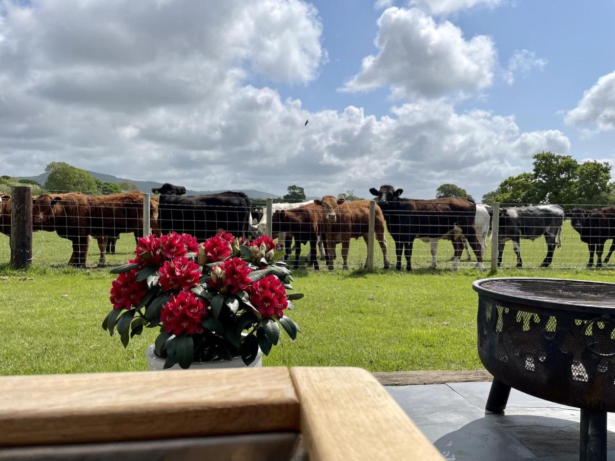 Abbey Farm Luxury Glamping Rhuddlan Exterior foto